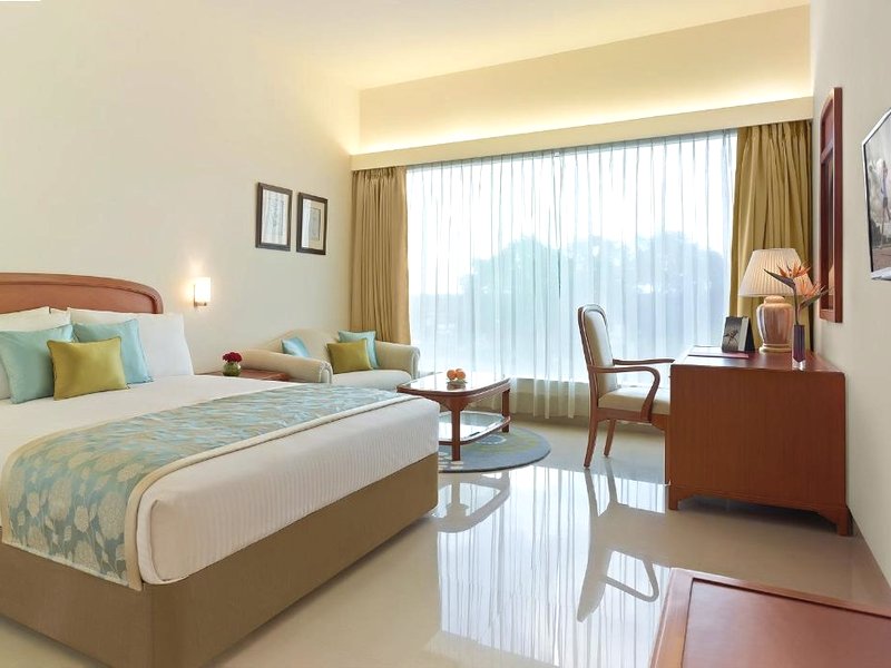 Ginger Gondiaの写真