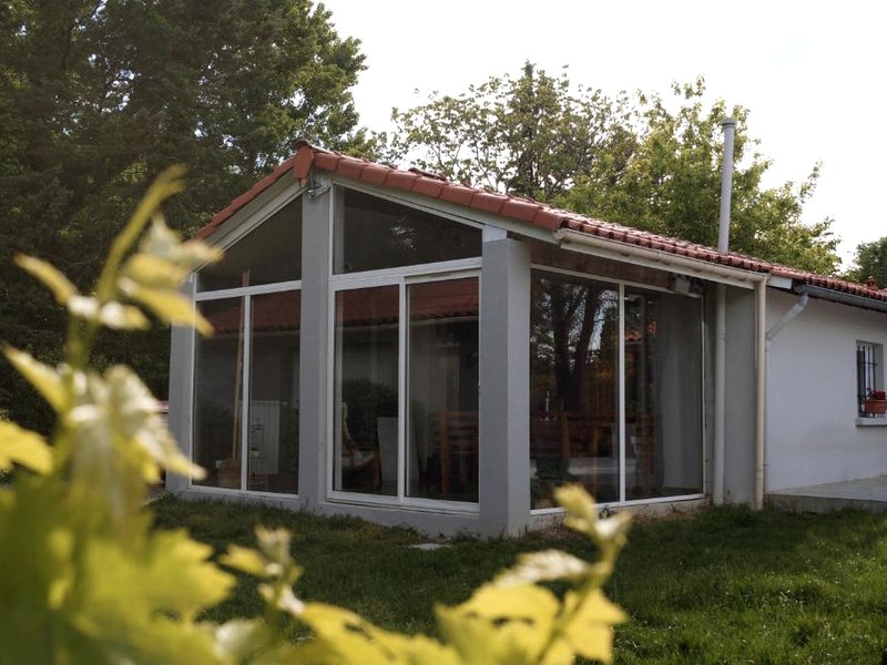 Les Agapanthes du frontonnaisの写真