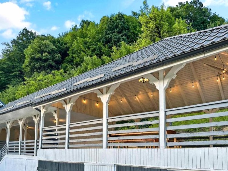 Pensiunea Șimon (Pensiunea Simon)の写真