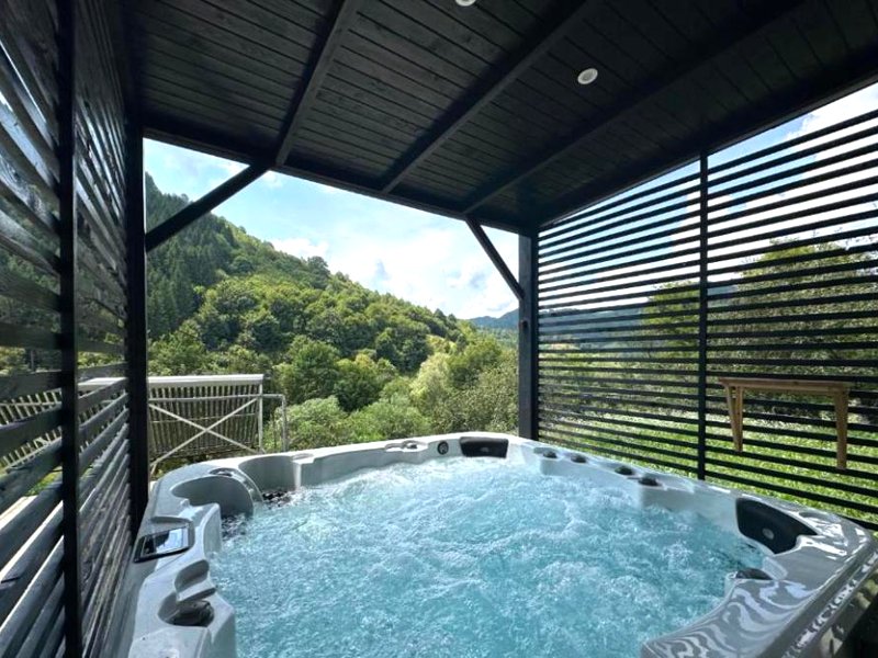 Pensiunea Șimon (Pensiunea Simon)の写真