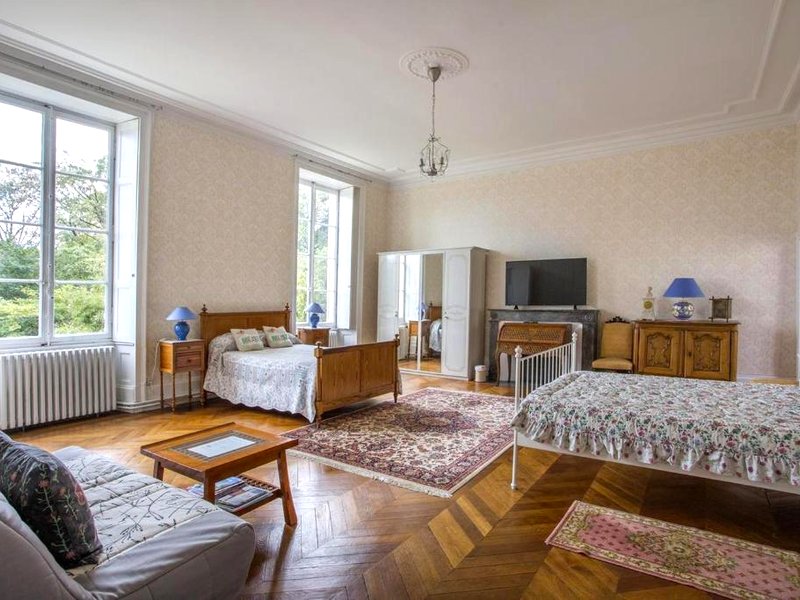 Suite Oiseau du Paradisの写真