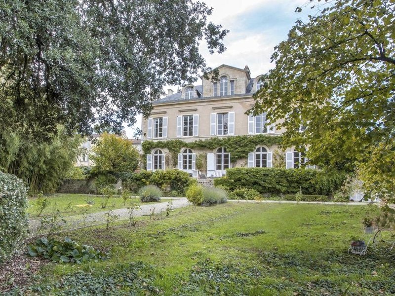 Suite Oiseau du Paradisの写真