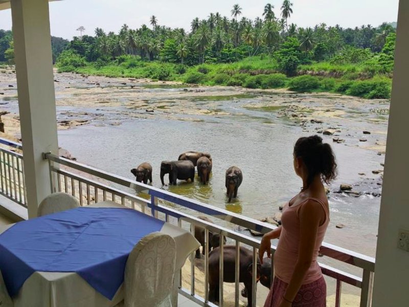 ホテル ピンナワラ (Hotel Pinnalanda)の写真