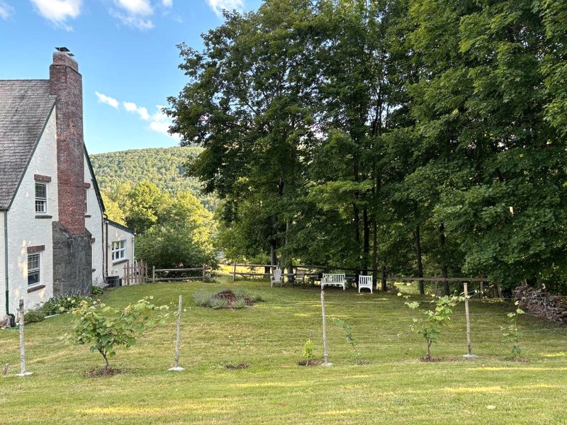 Georgian Gardenの写真