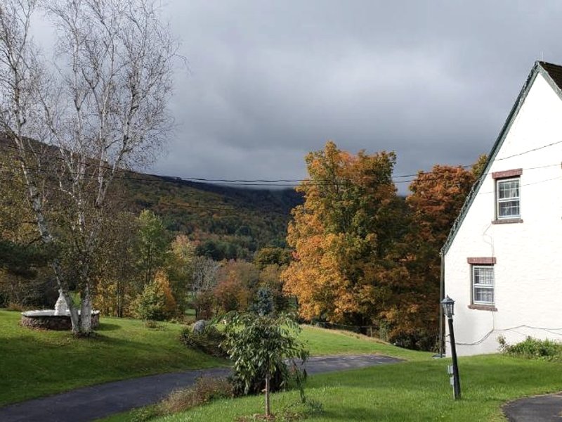 Georgian Gardenの写真