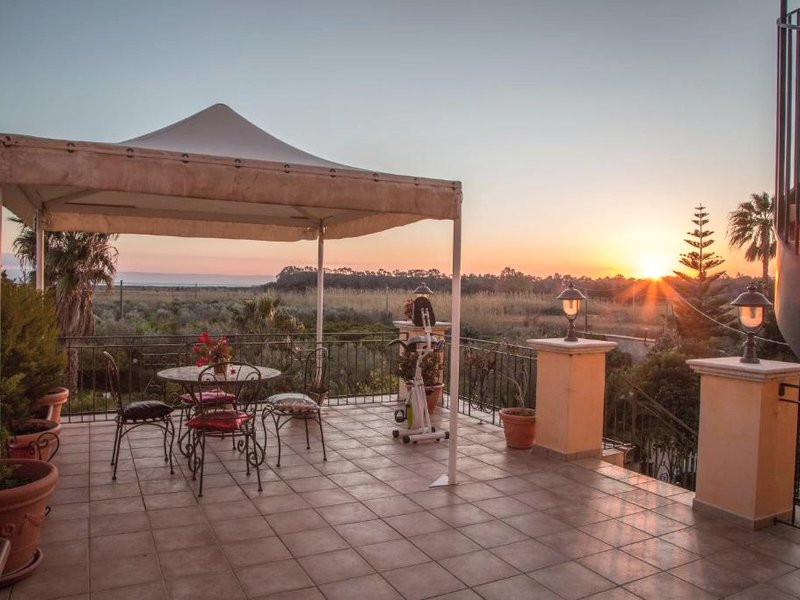 Palmed Hotelの写真