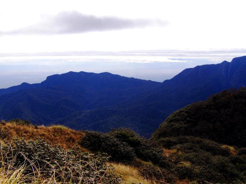 Portal de Piedraの写真