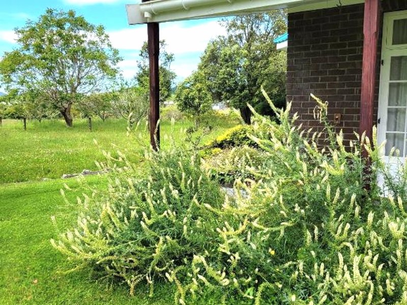 Bay of Islands Crossroads Homestay B&Bの写真