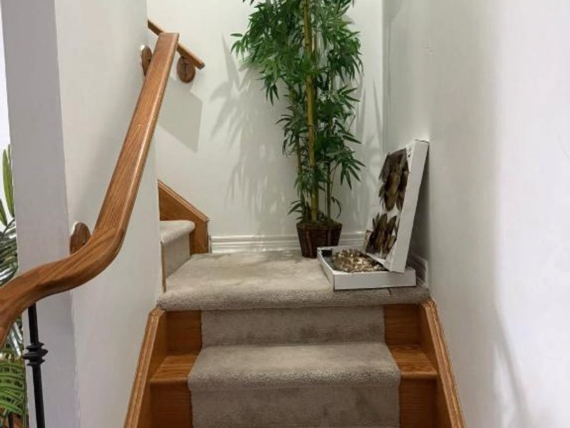 Dream Homesの写真