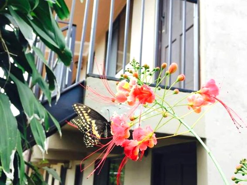 Bed and breakfast Bachelorの写真