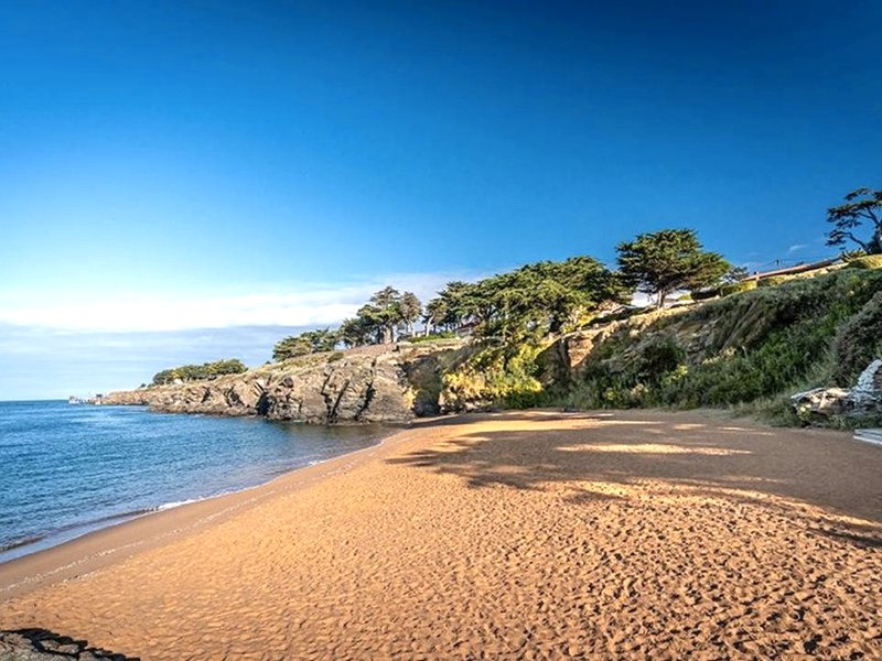 Hotel Particulier LE ROCHER DES MARAIS "Proximite Plage & Vue mer pour certains hebergements"の写真