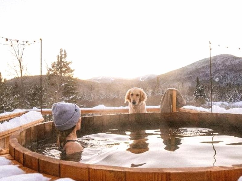 Farouche Tremblant - Hotel Nature & Expériences (Farouche Tremblant - Hotel Nature & Experiences)の写真