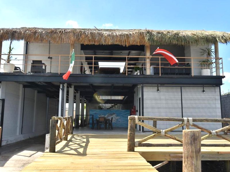 Sealion Dive Centerの写真