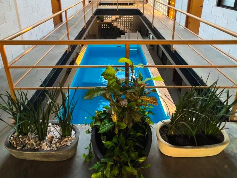 Sealion Dive Centerの写真
