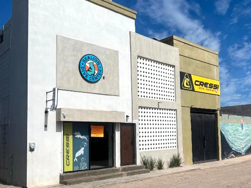 Sealion Dive Centerの写真