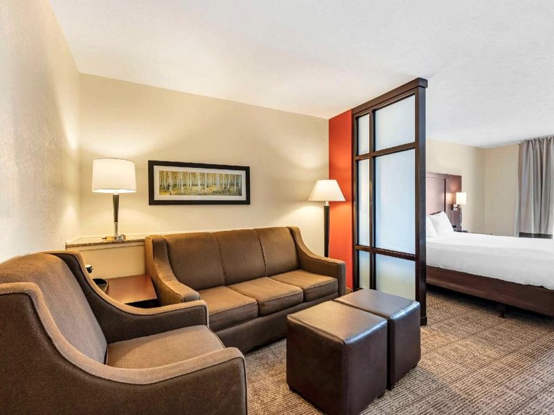 コンフォート スイーツ イースト リンカーン - モール エリア (Comfort Suites East Lincoln - Mall Area)の写真