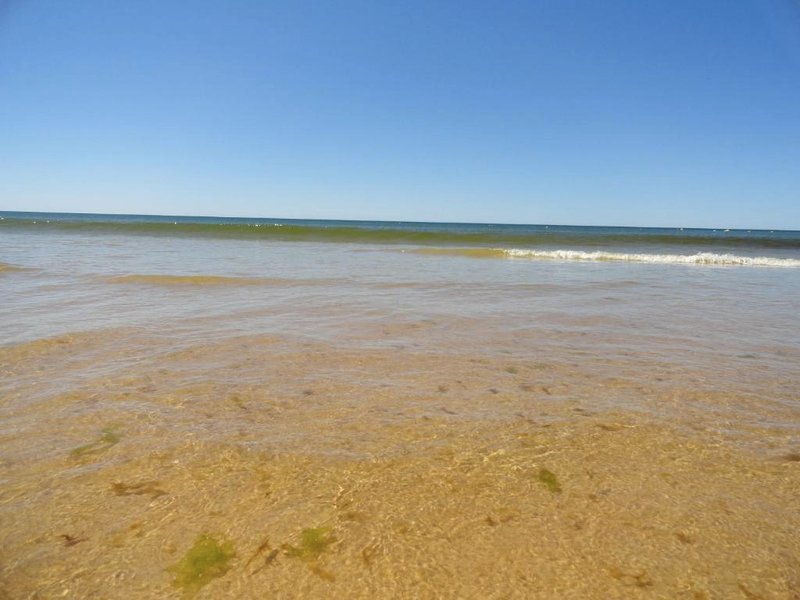 Alagoa Azul IIの写真