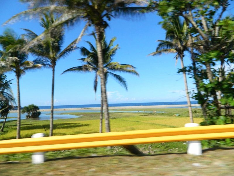 ビー ビー ロッジ       (Bee Bee Lodge)の写真