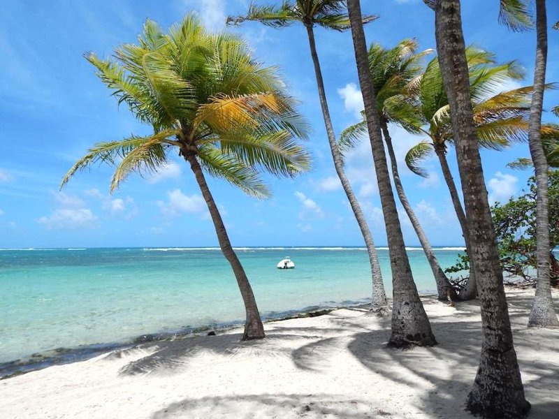 Hotel Le Rotabasの写真