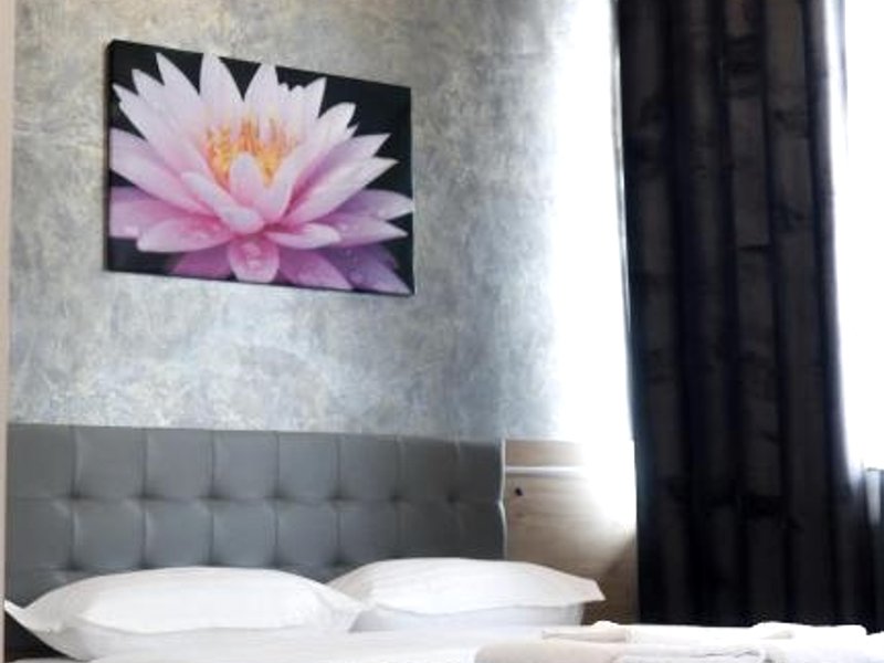 Pensiunea LOTUS Smardanの写真