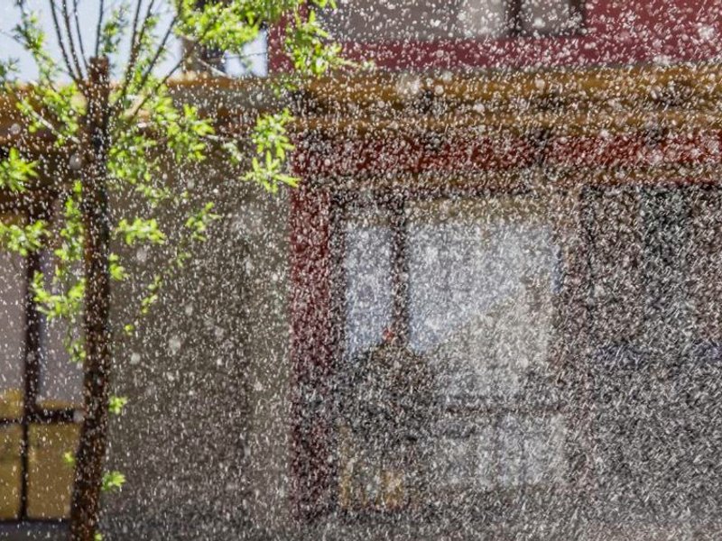 Cabanas Cultura Tafiの写真