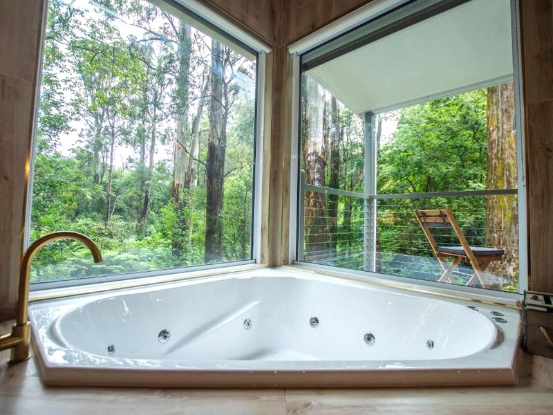 The Fernglen Forest Retreatの写真