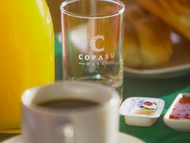 Copasu Hotelの写真