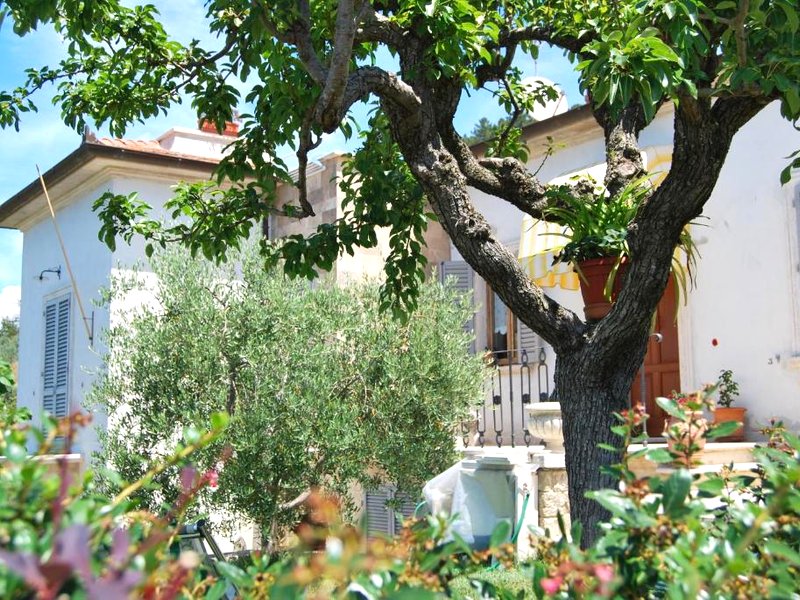 Bed and Breakfast Il Capperoの写真