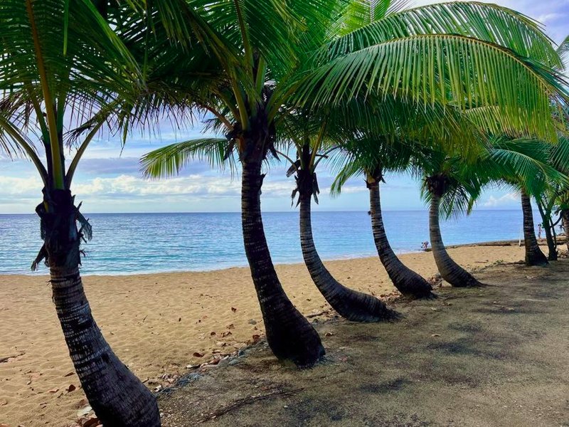 Tropical Heaven 3BR Apart on Vega Baja Beachの写真