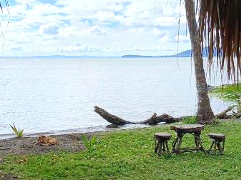 La Sirenita - Ometepeの写真