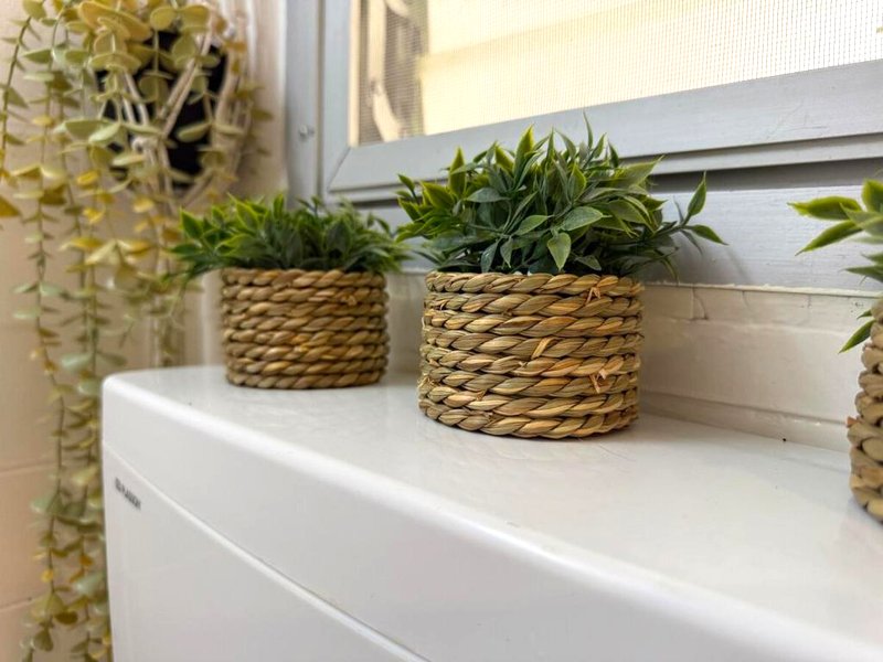 סתלבט בקיבוץの写真