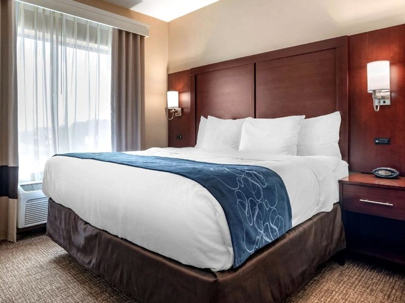 Comfort Suites Pell City I-20 exit 158の写真