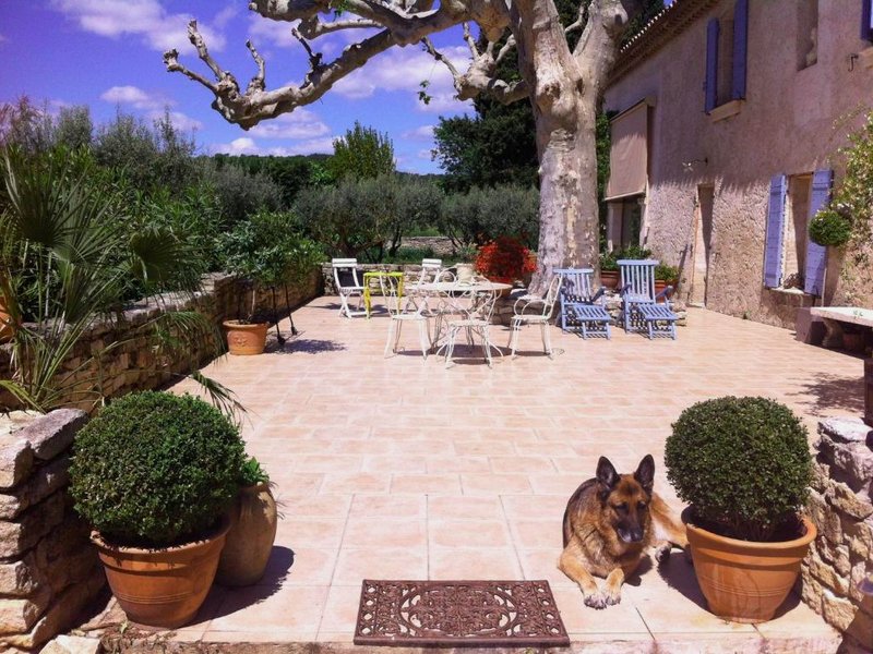 Chateau Juliette Winery Homestead Provenceの写真