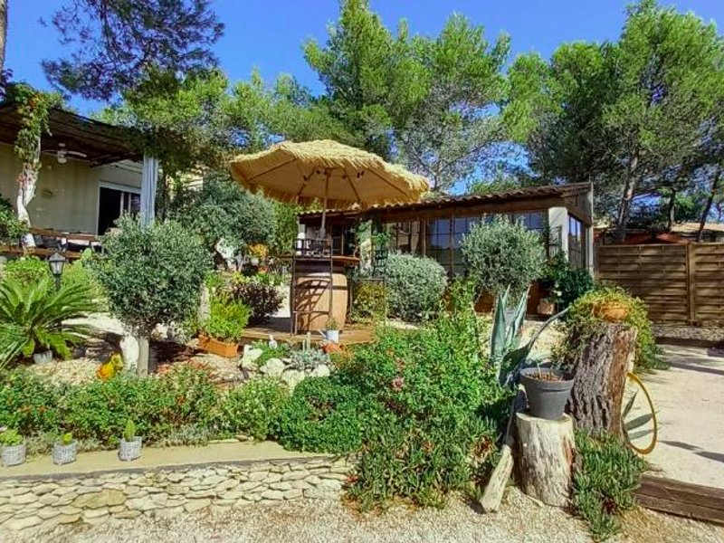 Les coronillesの写真