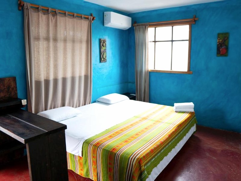 Galapagos Morning Gloryの写真