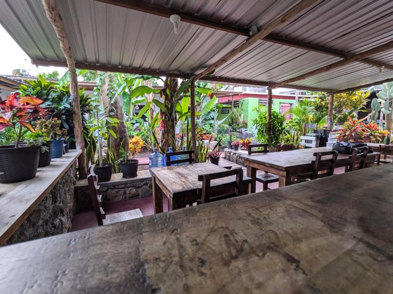 Galapagos Morning Gloryの写真