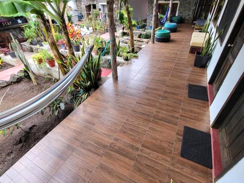 Galapagos Morning Gloryの写真