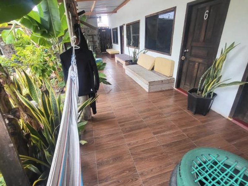 Galapagos Morning Gloryの写真