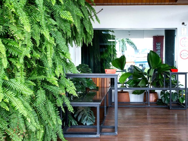 Tezla Hotelの写真