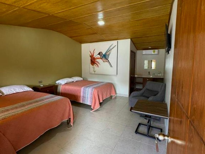 Hotel Posada Doña Celes (Hotel Posada Dona Celes)の写真