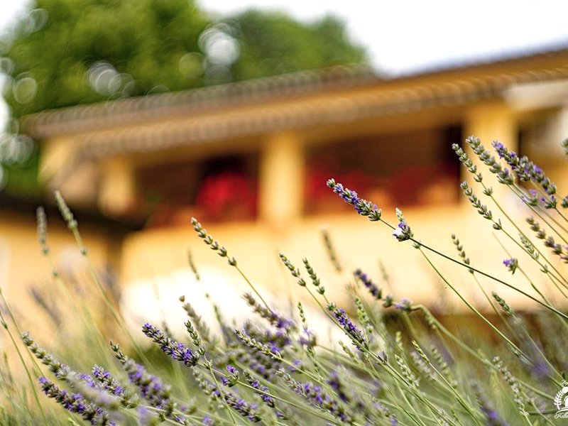 Agriturismo Kelle Terreの写真