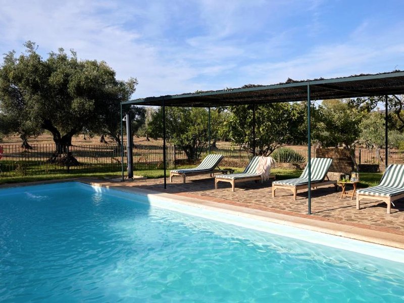 Finca El Azaharの写真