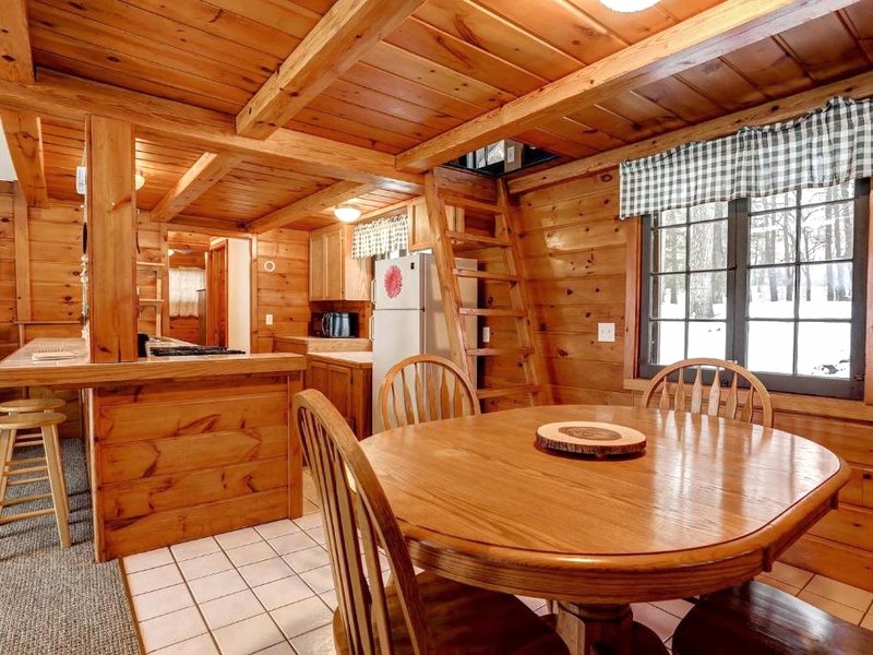 Stunning Cabin Getaway Surrounded by Towering Pine Trees in Walker, Minnesotaの写真