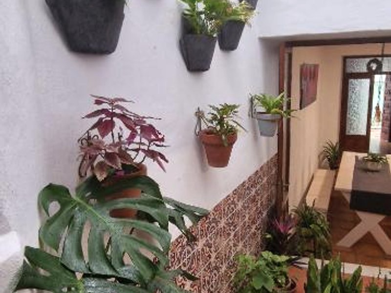 LA CASA DE ABUELA Habitaciones con bano compartido en el casco historico de Frigiliana "solo adultosの写真