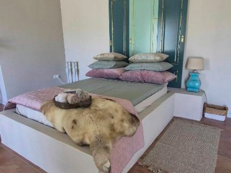 B&B Finca Conchalesの写真