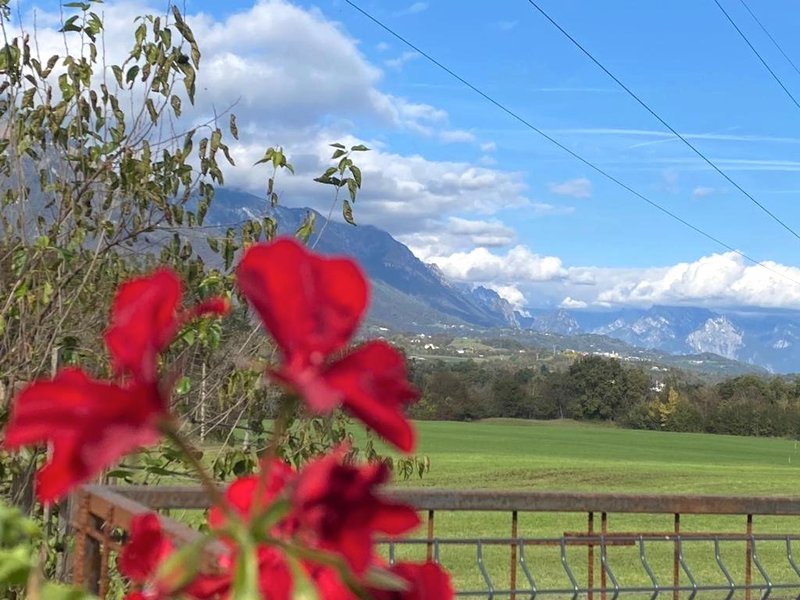 Il mondo roversoの写真