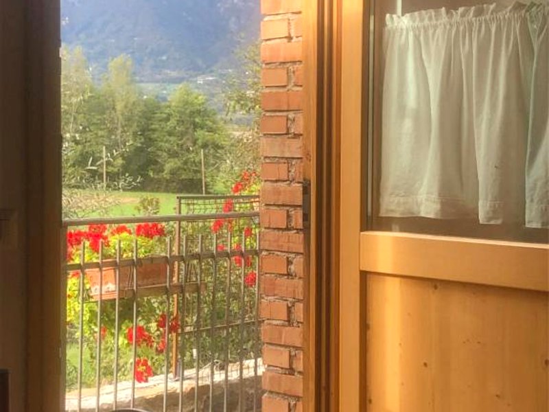 Il mondo roversoの写真