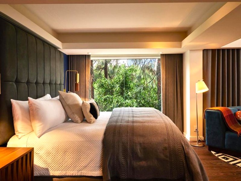 Campos Polancoの写真