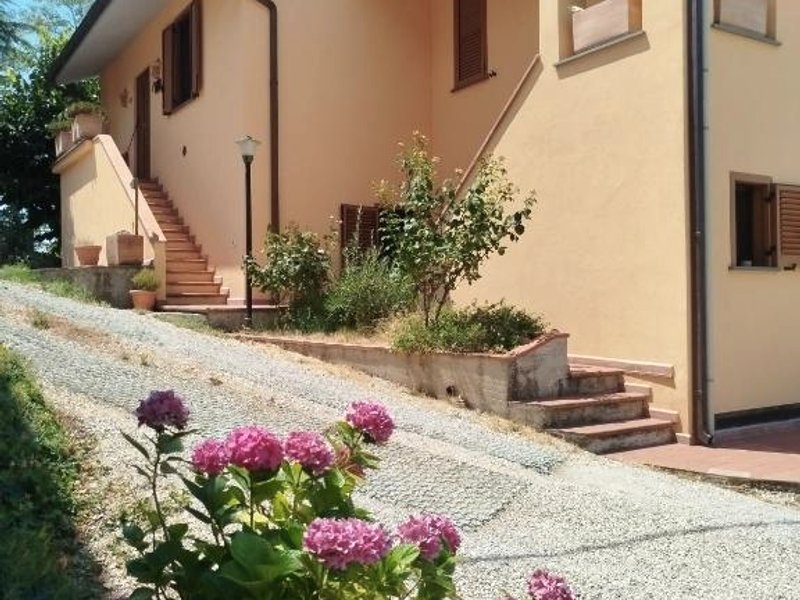 Lattrazionedelgecoの写真