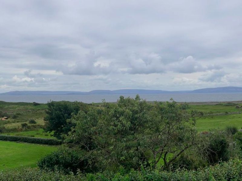 SeaClusion Barnaの写真